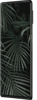 Google Pixel 6 Pro 256GB Stormy Black