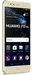 Huawei P10 Lite Dual-SIM 32GB/4GB złoty