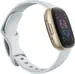Fitbit Sense 2 tracker aktywności mglisty niebieski/aluminium softgold