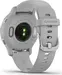 Garmin Venu 2S mist grey/silver