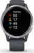 Garmin Venu granite blue/silver