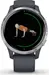 Garmin Venu granite blue/silver