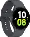 Samsung Galaxy Watch 5 LTE 44mm Graphite