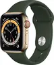 Apple Watch Series 6 (GPS + Cellular) 40mm stal szlachetna złoty z paskiem sportowym zyperngrün