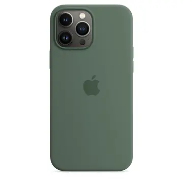 Apple Silikonowe etui z MagSafe do iPhone'a 13 Pro Max eukaliptusowe