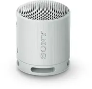 Sony SRS-XB100 szary