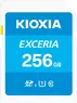 KIOXIA EXCERIA R100 SDXC 256GB, UHS-I U1, Class 10