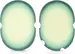 Teufel ZOLA Light Gray / Teal & Lime